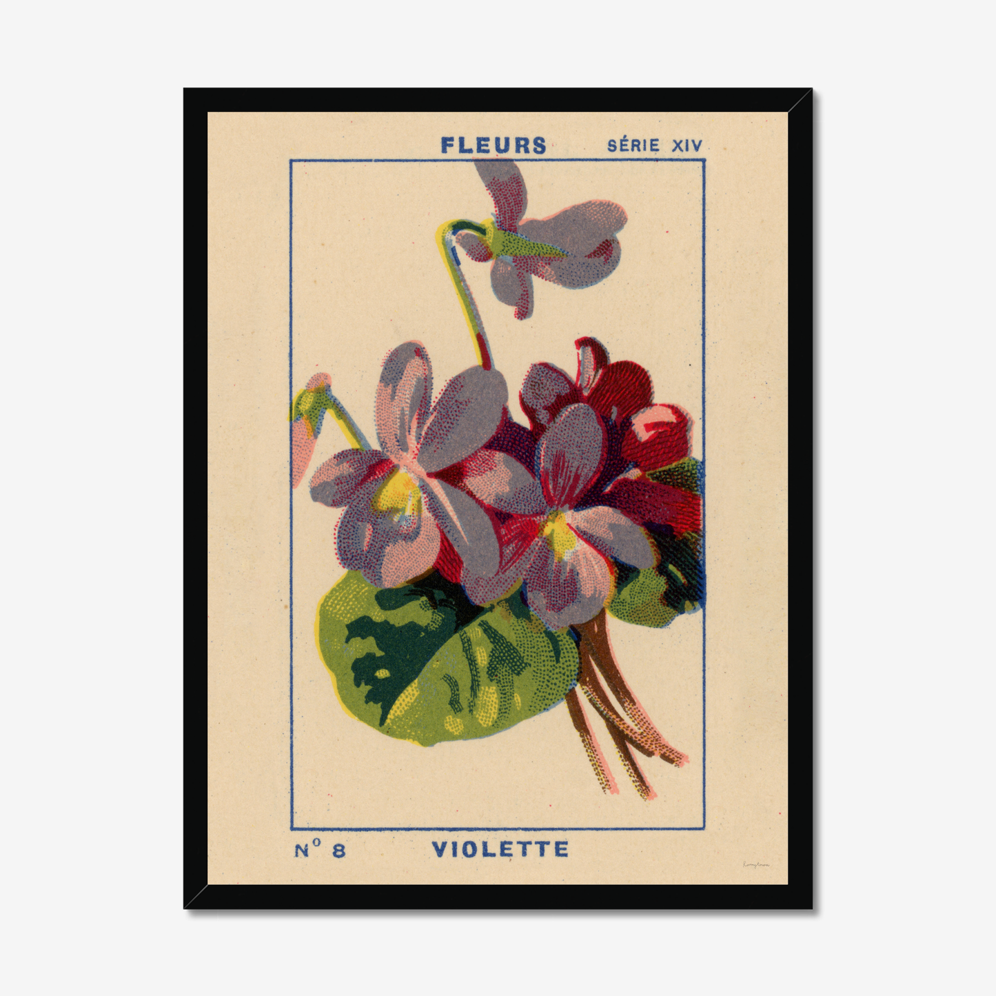 Violette Fine Art Print