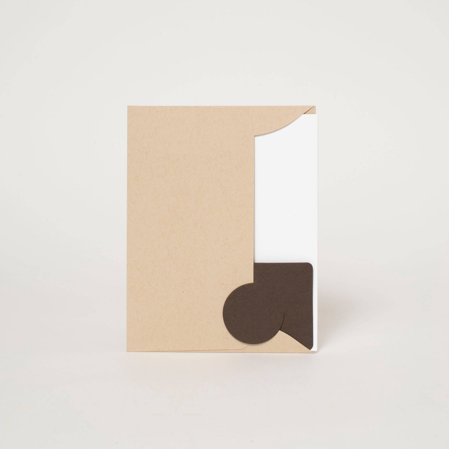 Turtle Birthday Letterpress Card