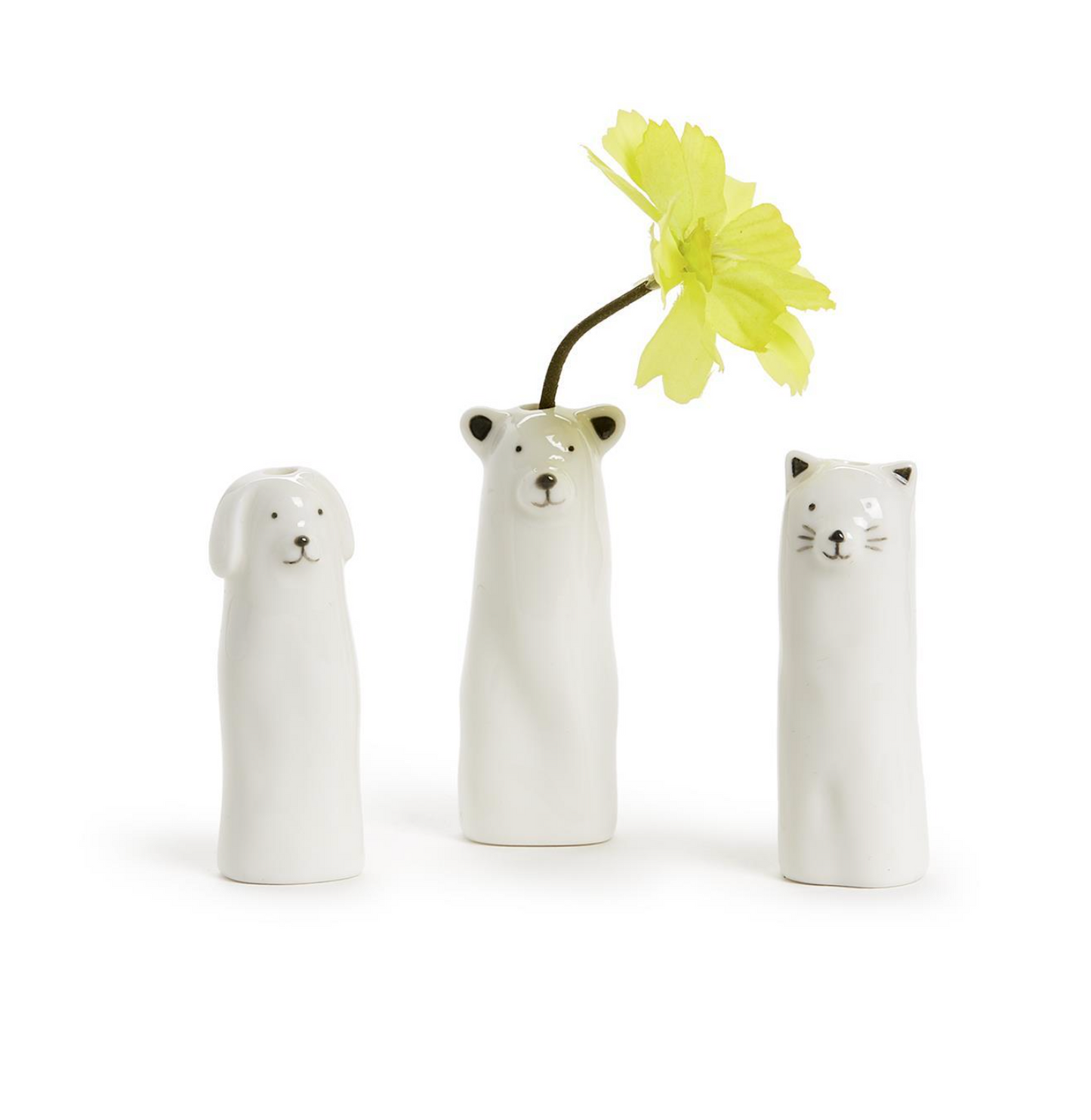 Animal Vase in Gift Box