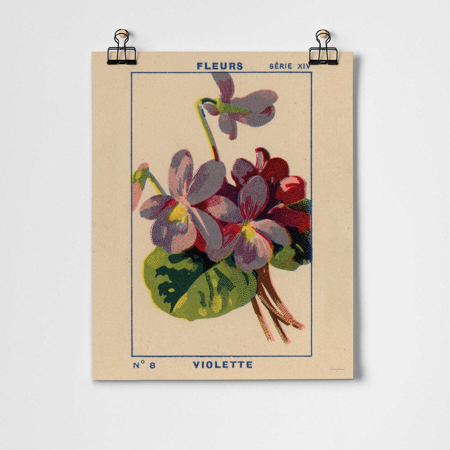 Violette Fine Art Print