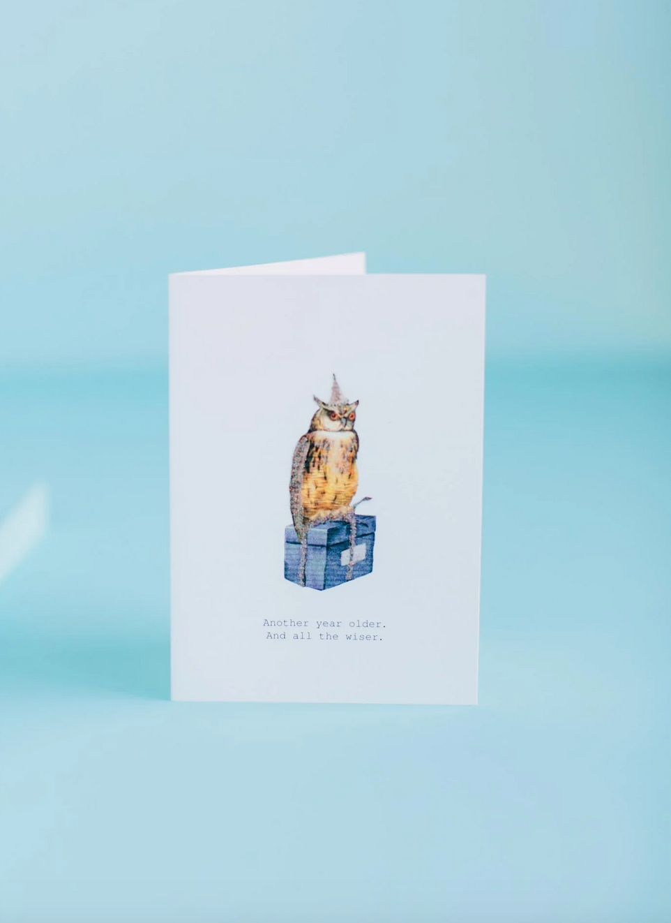 Another Year Older Owl Greeting Card