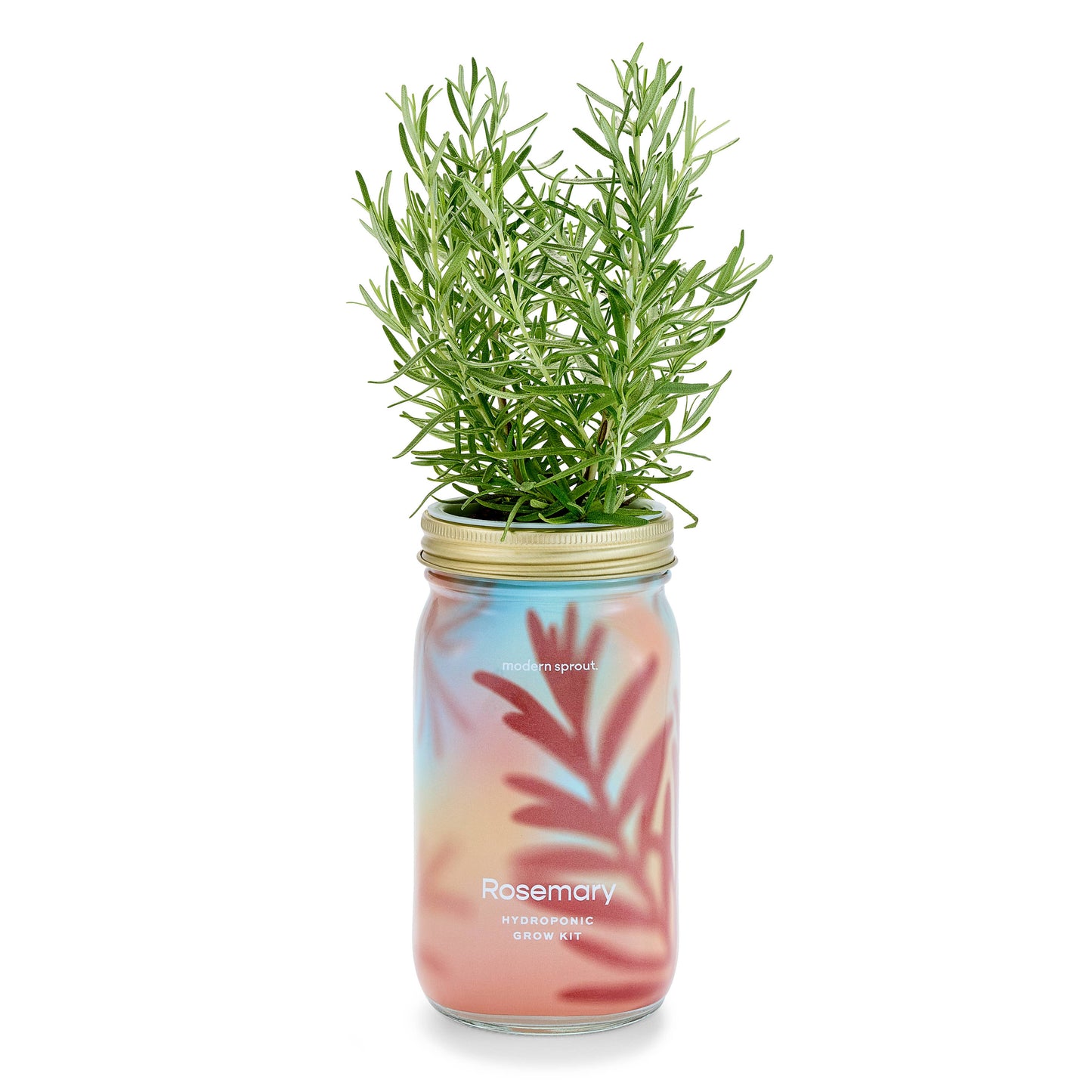 Herb Garden Jar