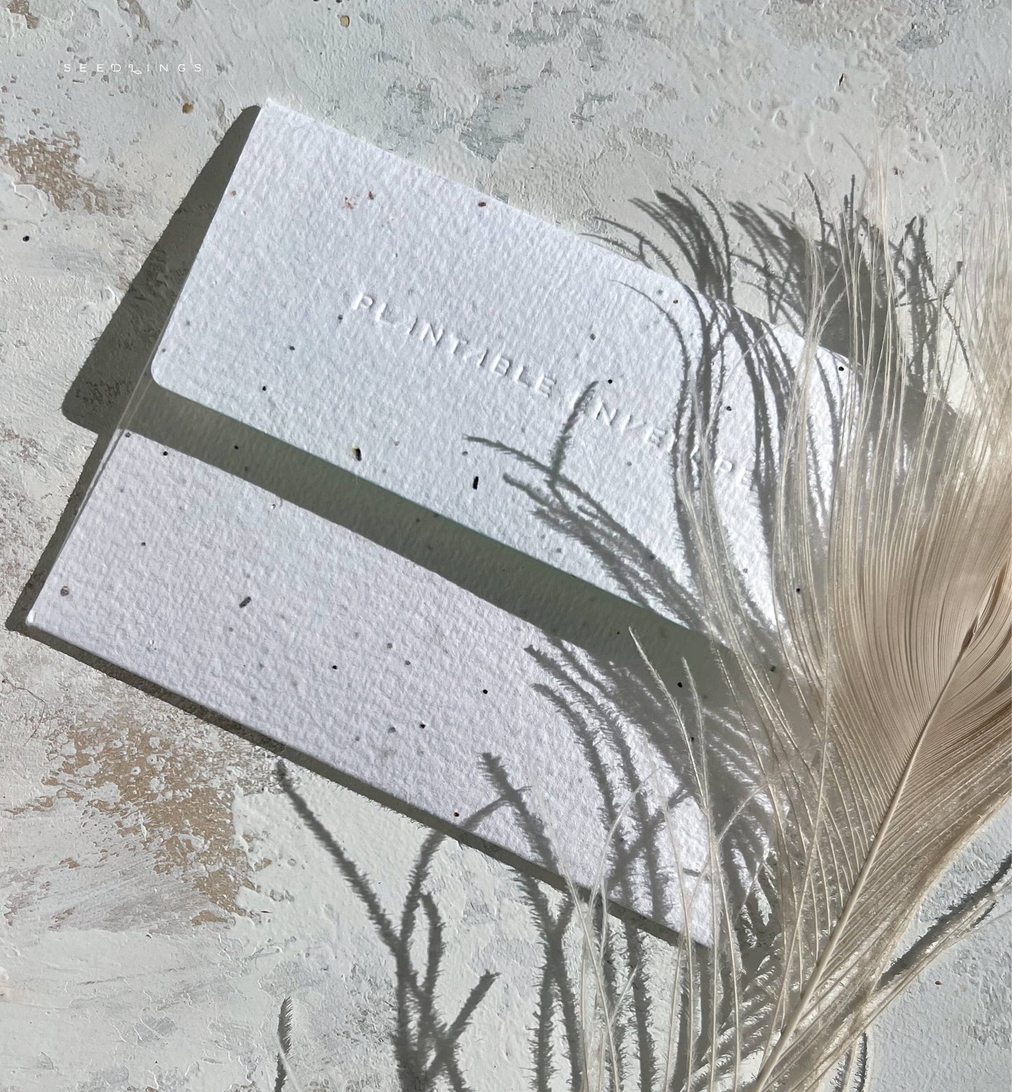 Full Bloom Birthday Card