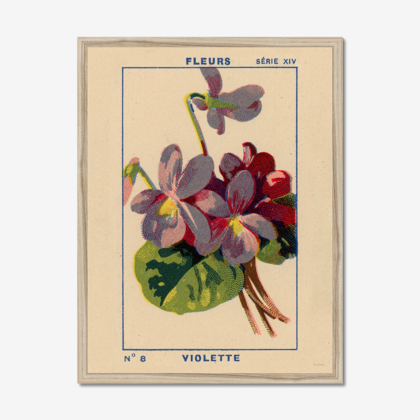 Violette Fine Art Print