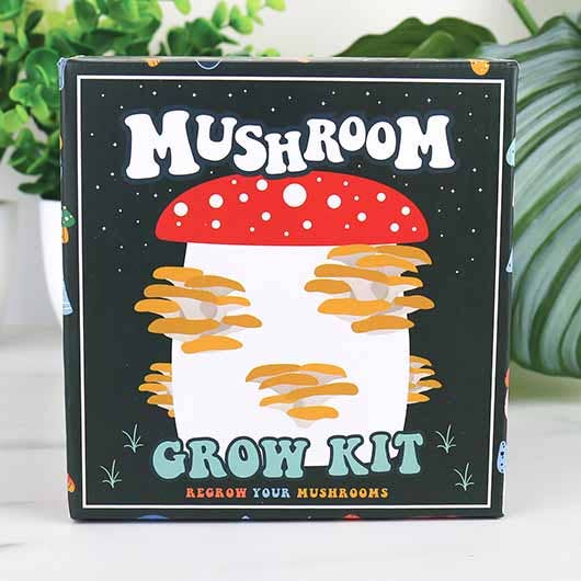 Mushroom Grow Kit