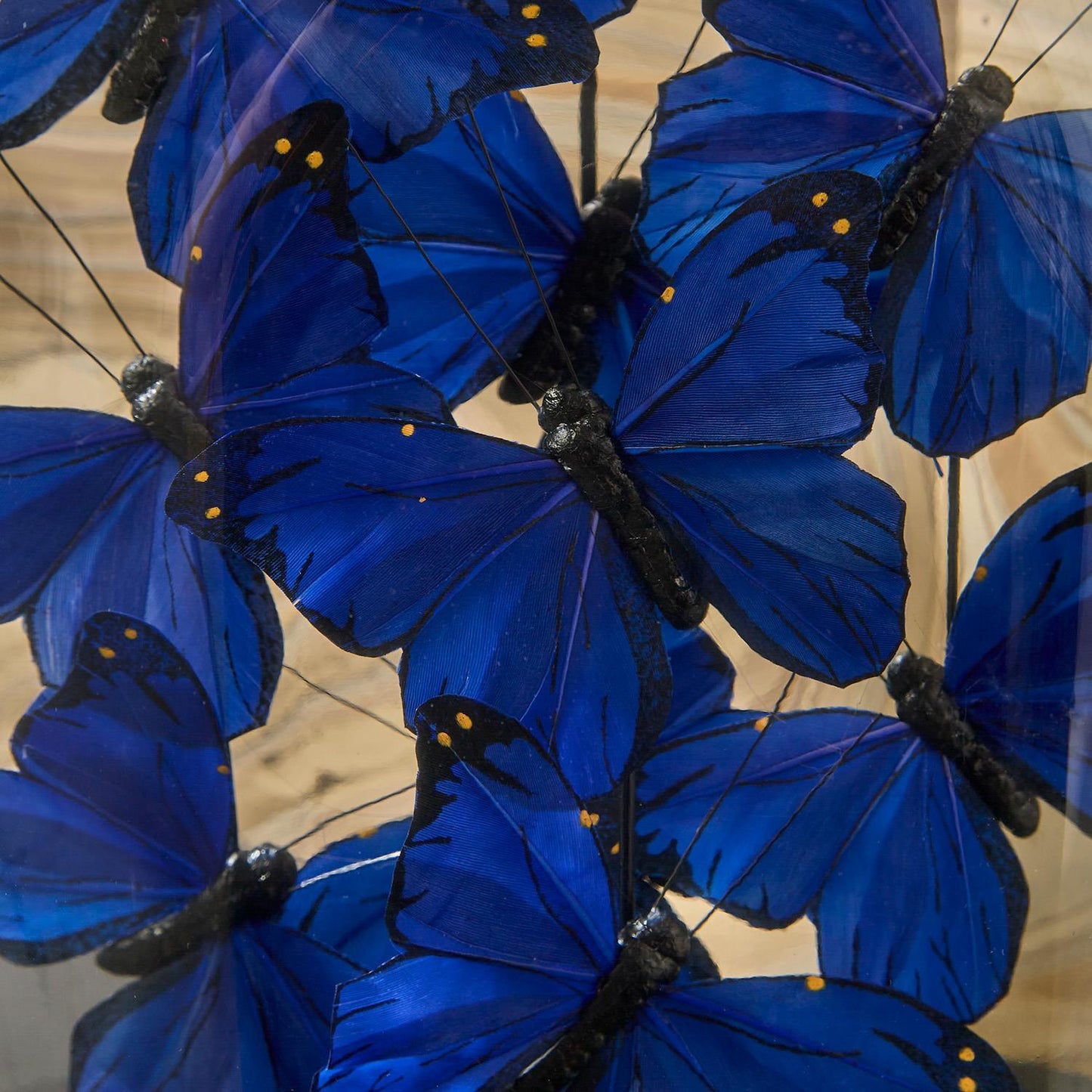 Ultramarine Butterflies in Oval Dome