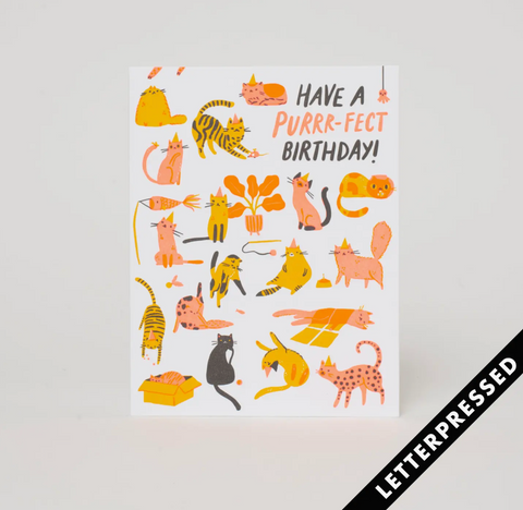 Purr-fect Birthday Letterpress Card