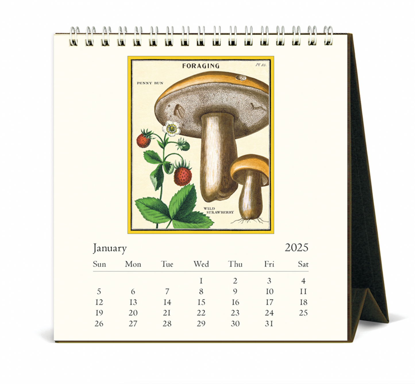 Foraging 2025 Desk Calendar