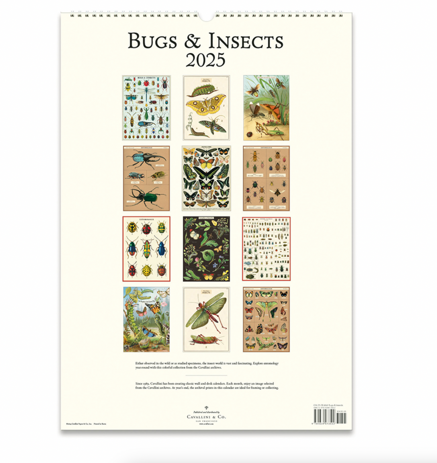 Bugs & Insects 2025 Wall Calendar