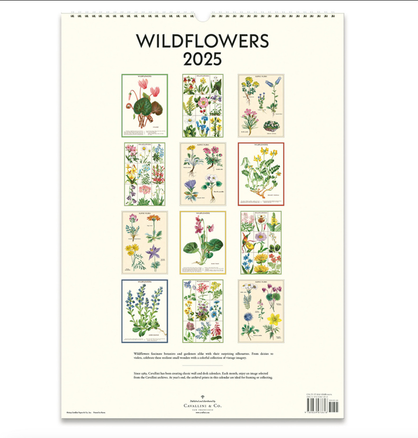 Wildflowers 2025 Wall Calendar