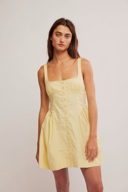 Astrid Oxford Mini Dress