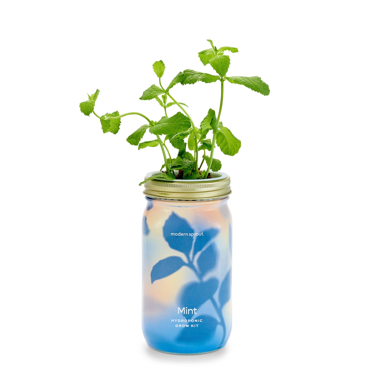 Herb Garden Jar