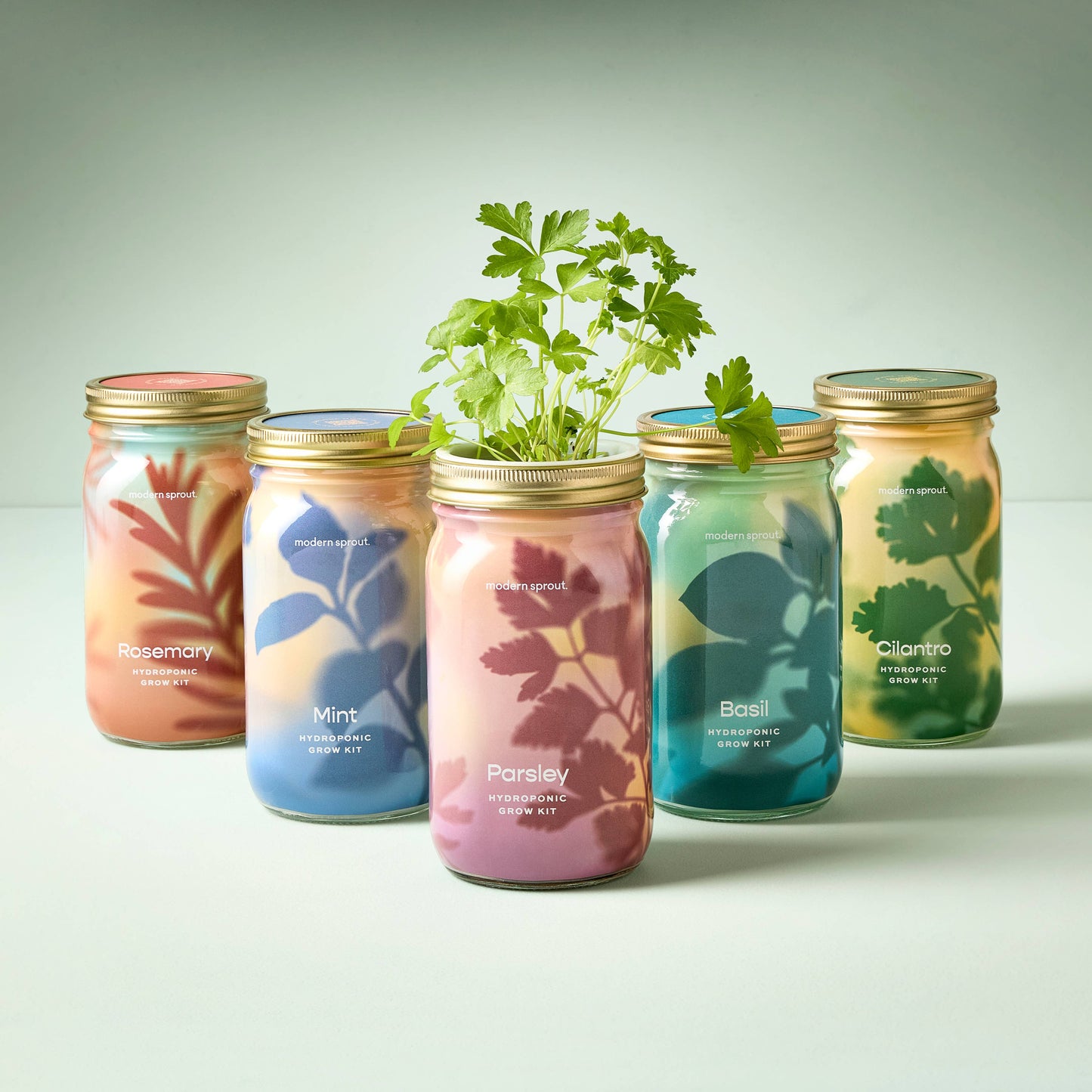 Herb Garden Jar