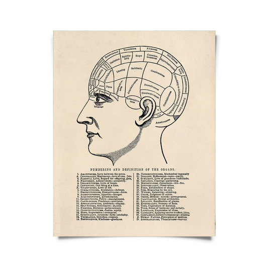 Vintage Anatomy Phrenology Chart Print