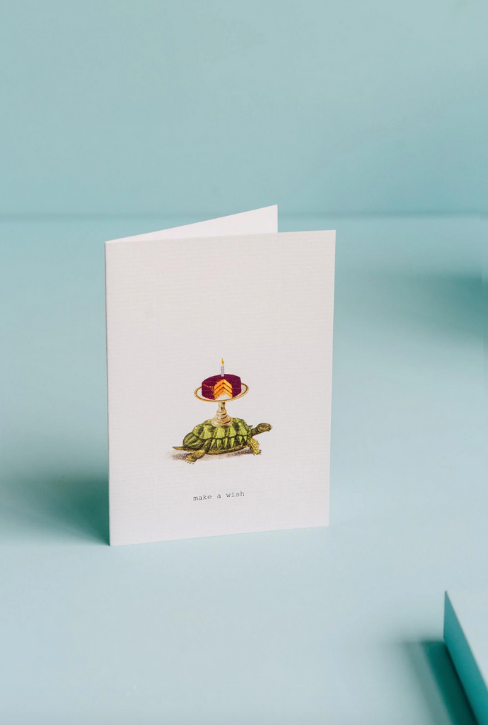 Make A Wish Turtle Greeting Card